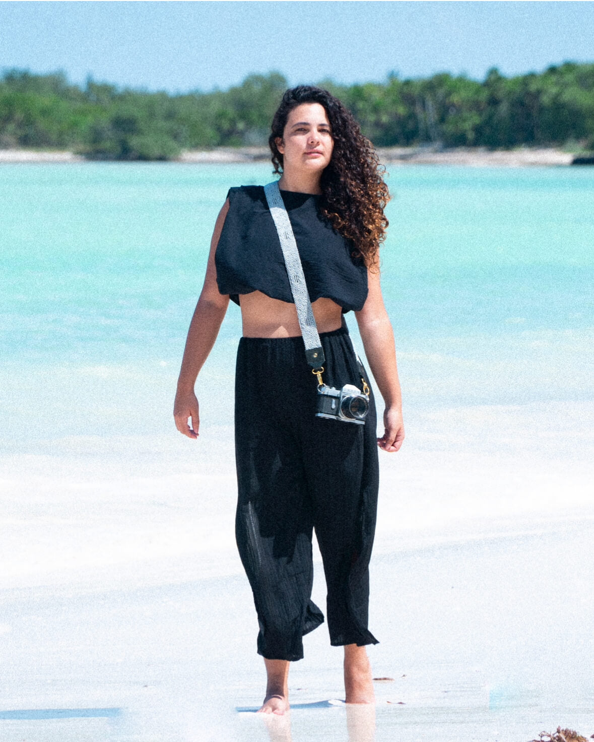 LOBO GRIS CÁMARA - chakchakart.com