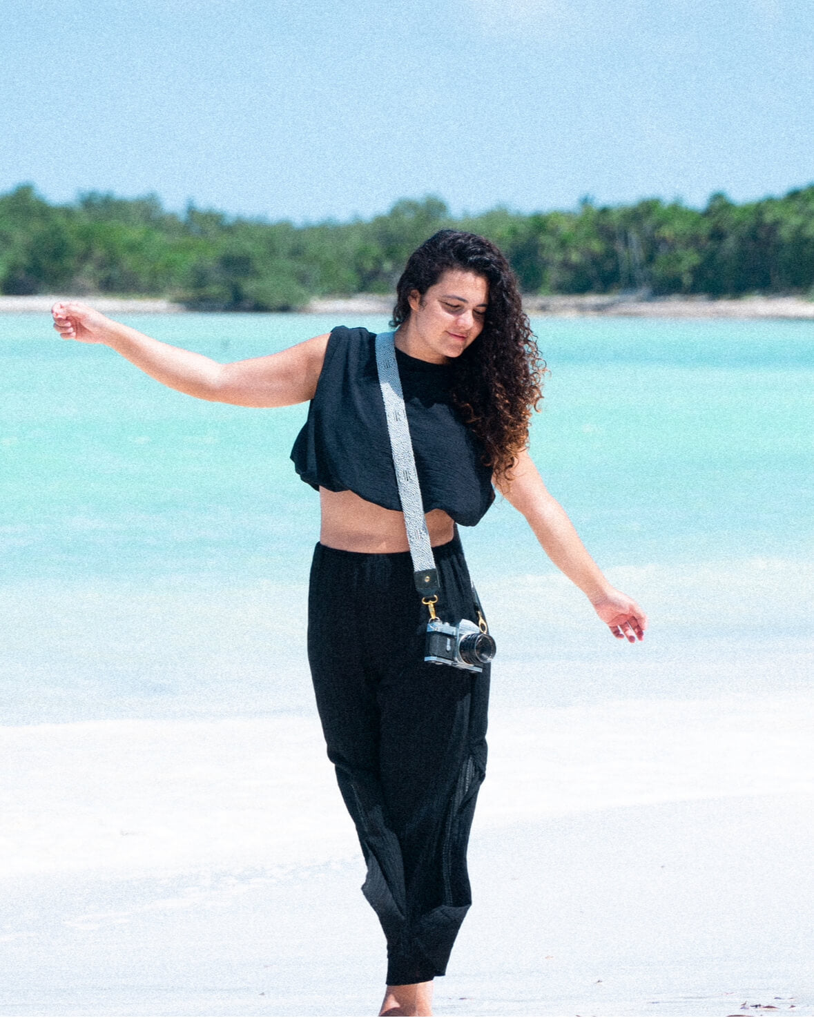 LOBO GRIS CÁMARA - chakchakart.com