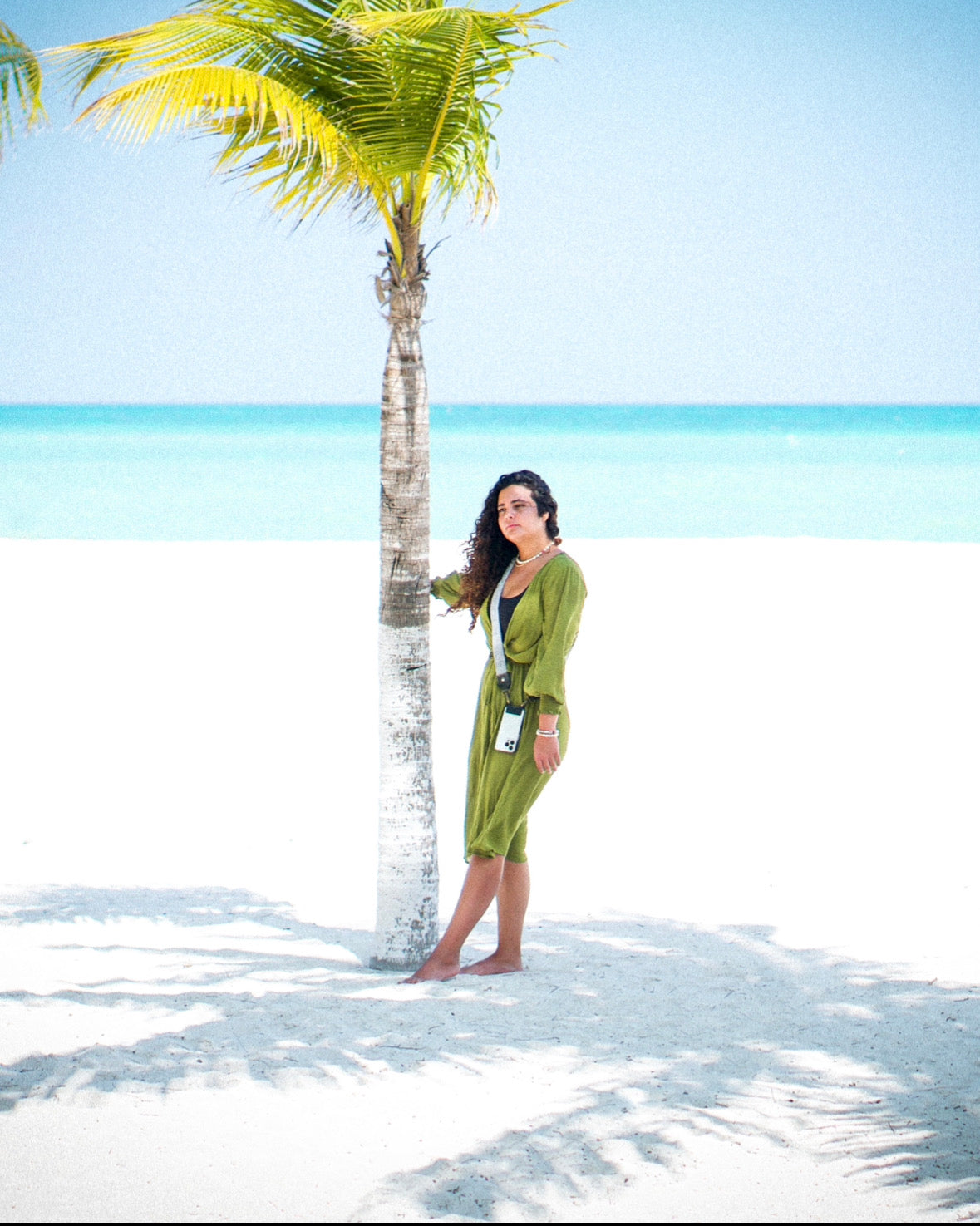 LOBO GRIS - chakchakart.com