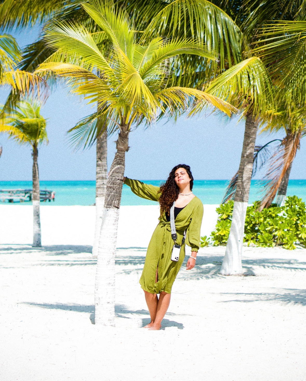 LOBO GRIS - chakchakart.com